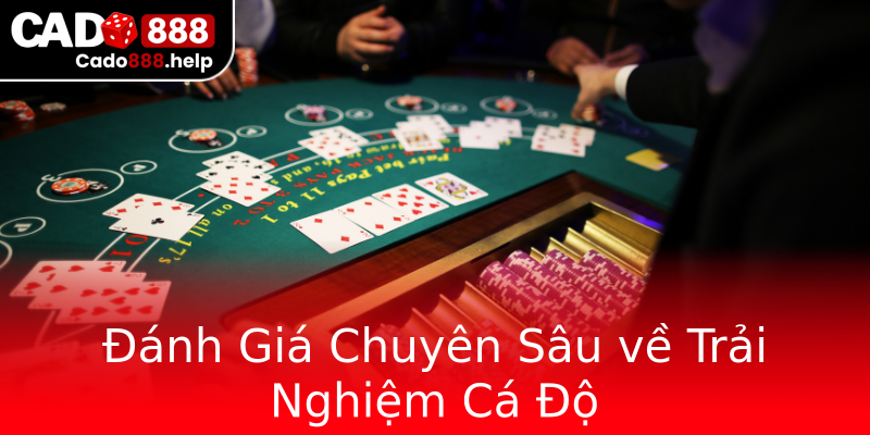Đánh Giá Chuyên Sâu về Trải Nghiệm Cá Độ Đánh Giá Chuyên Sâu về Trải Nghiệm Cá Độ