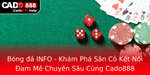 Bong A Info Kham Pha San Co Ket Noi Am Me Chuyen Sau Cung Cado888