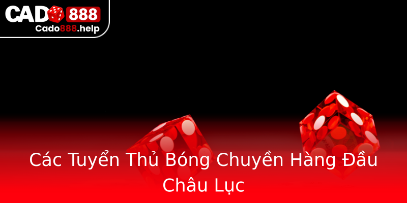 Các Tuyển Thủ Bóng Chuyền Hàng Đầu Châu Lục Các Tuyển Thủ Bóng Chuyền Hàng Đầu Châu Lục