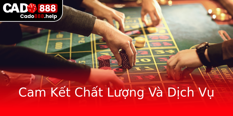 Cam Kết Chất Lượng Và Dịch Vụ Cam Kết Chất Lượng Và Dịch Vụ