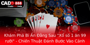 Kham Pha Bi An Ang Sau Xo So 1 An 99 Ruoi Chien Thuat Anh Buoc Vao Canh Gioi Ca Cuoc Online Toi Uu