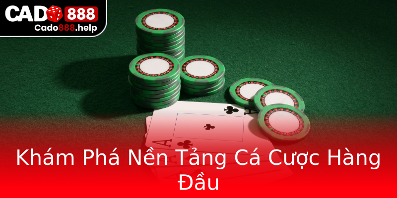 Khám Phá Nền Tảng Cá Cược Hàng Đầu Khám Phá Nền Tảng Cá Cược Hàng Đầu