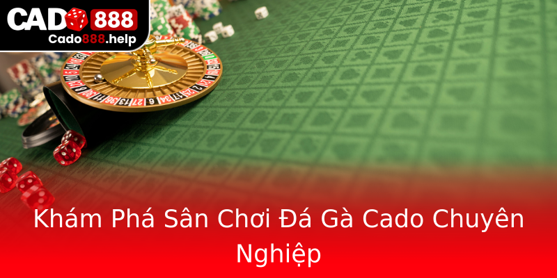 Khám Phá Sân Chơi Đá Gà Cado Chuyên Nghiệp Khám Phá Sân Chơi Đá Gà Cado Chuyên Nghiệp