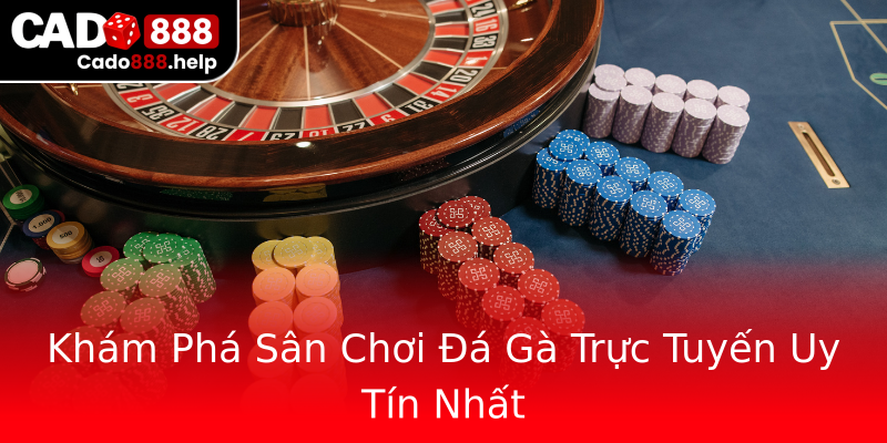 Khám Phá Sân Chơi Đá Gà Trực Tuyến Uy Tín Nhất Khám Phá Sân Chơi Đá Gà Trực Tuyến Uy Tín Nhất