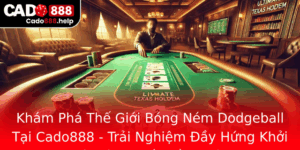 Kham Pha The Gioi Bong Nem Dodgeball Tai Cado888 Trai Nghiem Ay Hung Khoi Va Am Chat Ong Oi