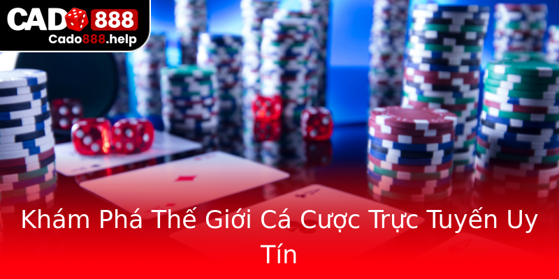 Khám Phá Thế Giới Cá Cược Trực Tuyến Uy Tín Khám Phá Thế Giới Cá Cược Trực Tuyến Uy Tín