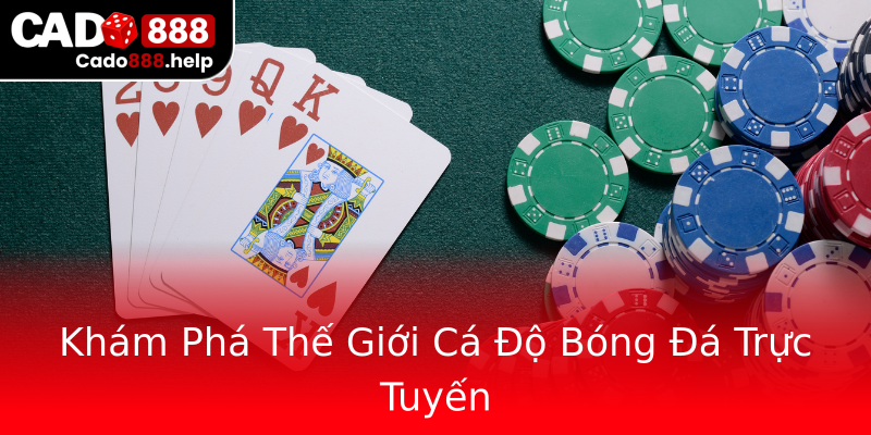 Khám Phá Thế Giới Cá Độ Bóng Đá Trực Tuyến Khám Phá Thế Giới Cá Độ Bóng Đá Trực Tuyến