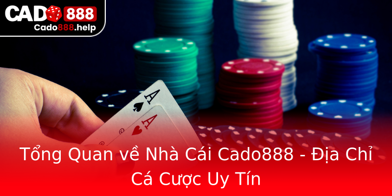 Tổng Quan về Nhà Cái Cado888 - Địa Chỉ Cá Cược Uy Tín Tổng Quan về Nhà Cái Cado888 - Địa Chỉ Cá Cược Uy Tín