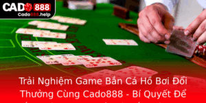 Trai Nghiem Game Ban Ca Ho Boi Oi Thuong Cung Cado888 Bi Quyet E Thang Lon Trong The Gioi Ban Ca Onl