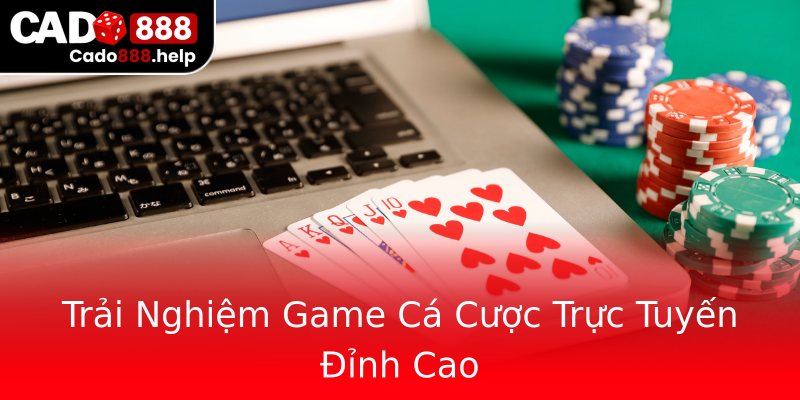 Trải Nghiệm Game Cá Cược Trực Tuyến Đỉnh Cao Trải Nghiệm Game Cá Cược Trực Tuyến Đỉnh Cao