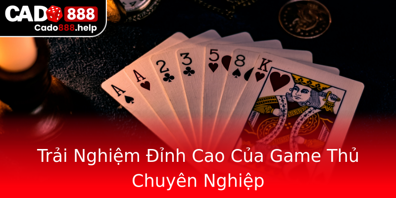 Trải Nghiệm Đỉnh Cao Của Game Thủ Chuyên Nghiệp Trải Nghiệm Đỉnh Cao Của Game Thủ Chuyên Nghiệp