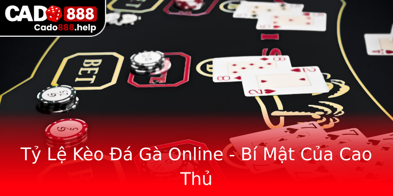 Tỷ Lệ Kèo Đá Gà Online - Bí Mật Của Cao Thủ Tỷ Lệ Kèo Đá Gà Online - Bí Mật Của Cao Thủ